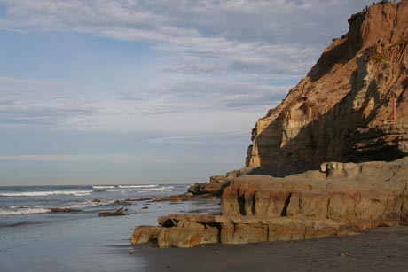 Picture of Dog Beach in Del Mar California