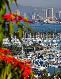 San Diego Cruises