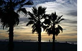 Carlsbad Sunsets On The Beach